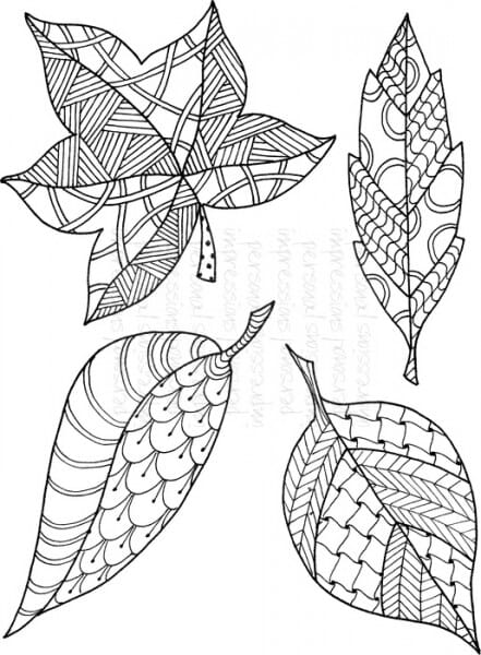 Lindsay Mason Designs - Leaves Set Ready To Go - Clear Stamp