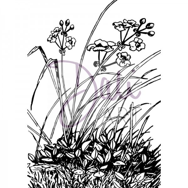 DaliArt - DaliART Clear Stamp Meadow Flowers A6