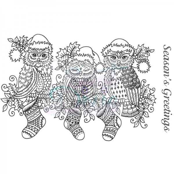 Sue Dix Designs - Festive Owls on a Branch Clear Stamp A6